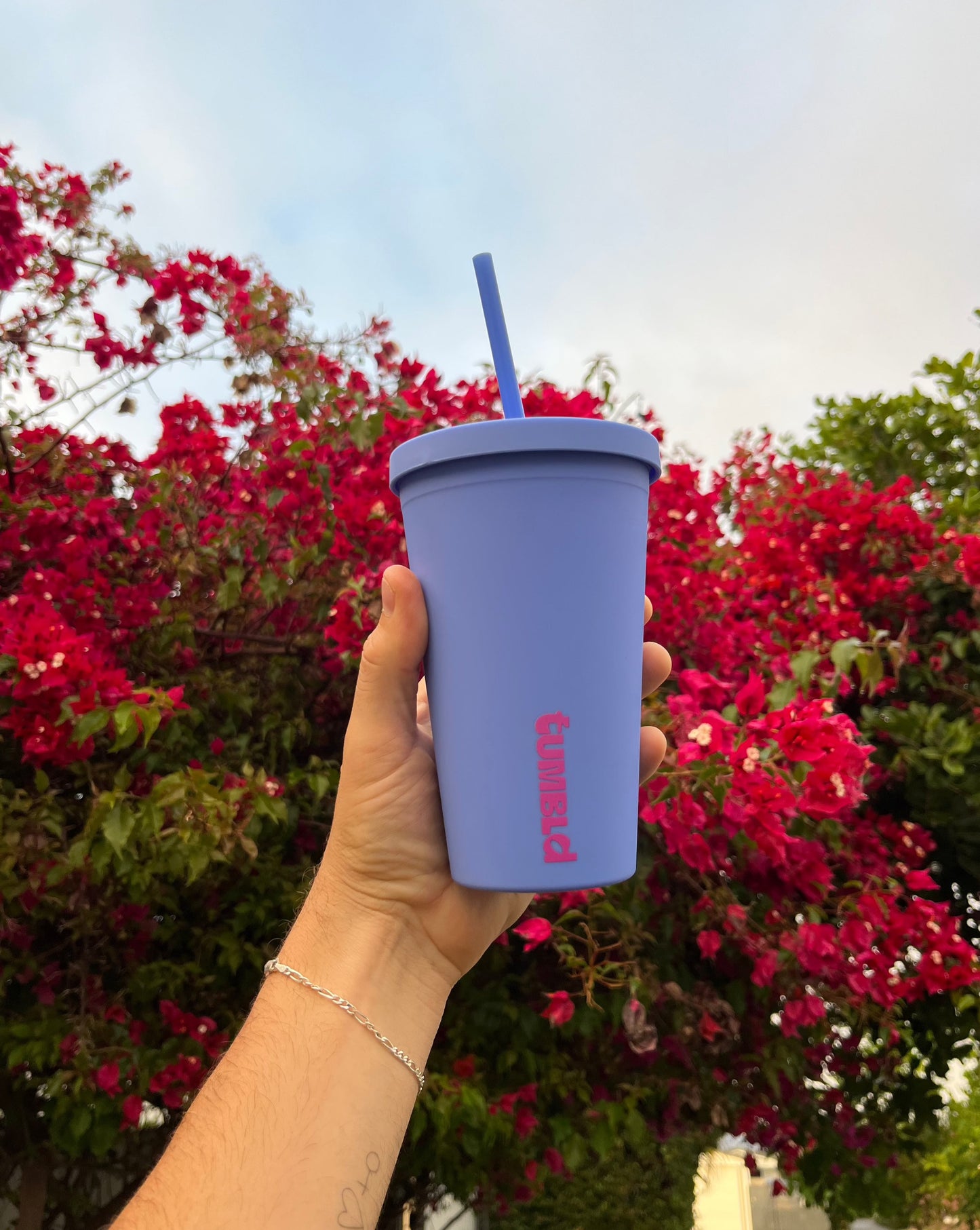 Daily Hydration Tumbler - Grape