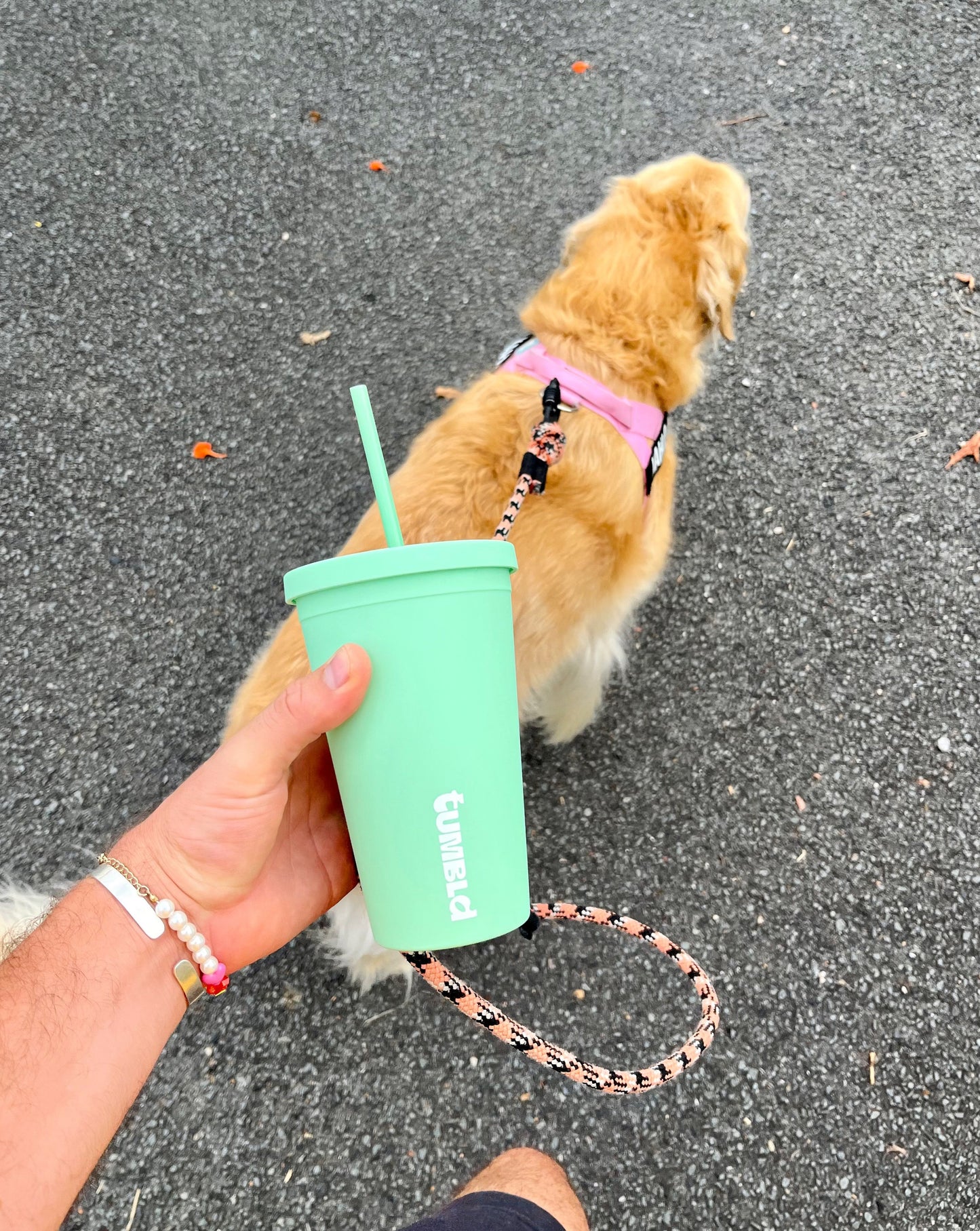 Daily Hydration Tumbler - Matcha